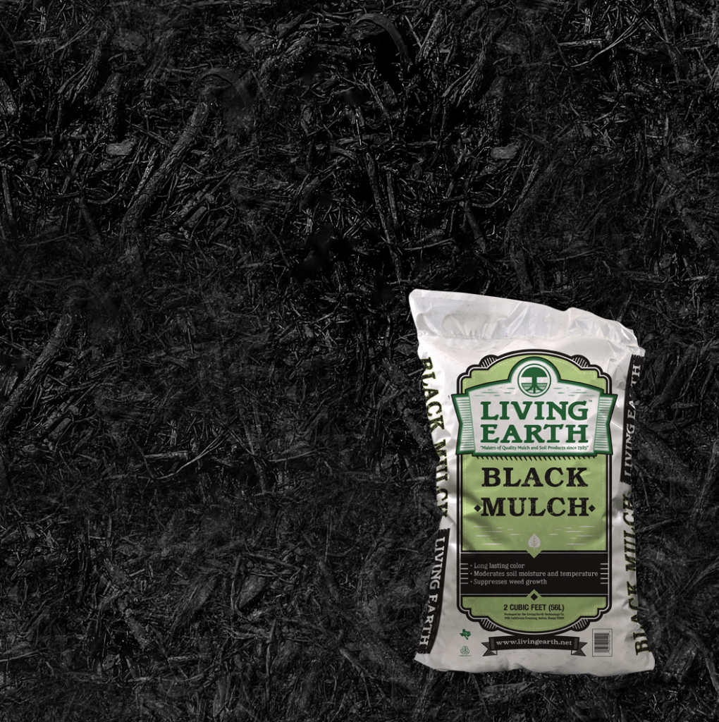 NEW FALL MULCH 2025