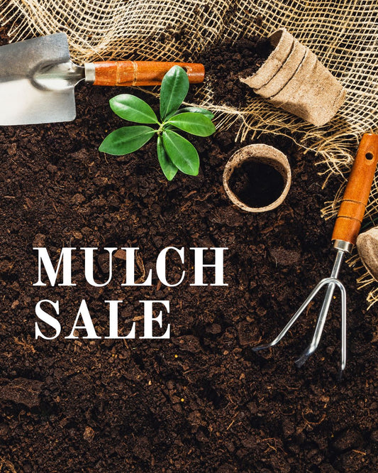 NEW SPRING MULCH 2026